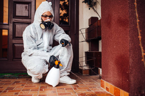 Attic and Crawl Space Rodent Treatment in Ogden Dunes