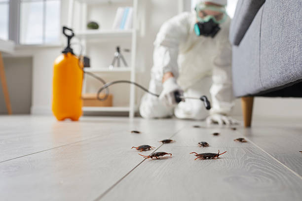 Commercial Rodent Management in Ogden Dunes